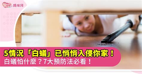 白蟻怕熱嗎|白蟻怕什麼？預防白蟻必看7大絕招，白蟻防治攻略全。